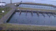 Archiv Foto Webcam Lembruch: Segler-Club Dümmer See 06:00