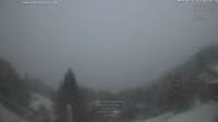 Archived image Webcam Cimetta: Mountain Hut Colmanicchio 15:00