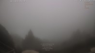 Archiv Foto Webcam Cimetta - Ristorante Colmanicchio 13:00