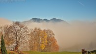Archiv Foto Webcam Ausblick von Amerlügen bei Frastanz 11:00