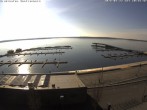 Archiv Foto Webcam Blick auf den Stadthafen und den Senftenberger See 09:00