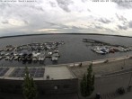 Archived image Webcam Senftenberger See - Lusatian Lakeland 11:00