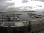 Archiv Foto Webcam Blick auf den Stadthafen und den Senftenberger See 11:00
