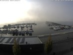 Archiv Foto Webcam Blick auf den Stadthafen und den Senftenberger See 08:00