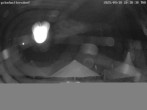 Archiv Foto Webcam Golfclub Bad Waltersdorf 19:00