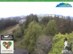 Archived image Webcam Oberweissbach - View from Froebelturm Restaurant 13:00