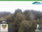 Archiv Foto Webcam Oberweissbach - Blick vom Fröbelturm 11:00