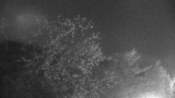 Archiv Foto Webcam World Cup Abfahrt in Killington 02:00