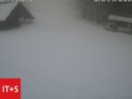 Archived image Webcam Kniebis - Black Forest 02:00