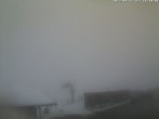 Archived image Webcam Kniebis - Ski hut 10:00