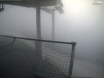 Archiv Foto Webcam Blick von der Mittelstation der Jennerbahn 05:00