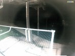 Archiv Foto Webcam Blick von der Mittelstation der Jennerbahn 23:00