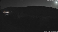 Archiv Foto Webcam Titisee: Westufer 01:00
