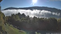 Archiv Foto Webcam Titisee: Westufer 08:00