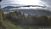 Archiv Foto Webcam Titisee: Westufer 08:00