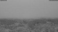 Archiv Foto Webcam Hahnenklee - Bocksberg Panorama 03:00
