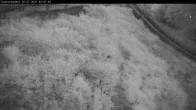 Archiv Foto Webcam Willingen: Blick Schanzentisch der Skisprungschanze 03:00