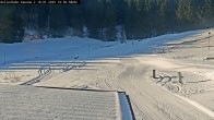 Archiv Foto Webcam Willingen - Blick Rollerbahn der Biathlon Arena 09:00