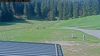 Archiv Foto Webcam Willingen - Blick Rollerbahn der Biathlon Arena 09:00