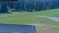 Archived image Webcam Willingen - View Roller Ski in Biathlon Arena 11:00