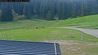 Archiv Foto Webcam Willingen - Blick Rollerbahn der Biathlon Arena 11:00