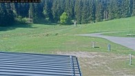 Archiv Foto Webcam Willingen - Blick Rollerbahn der Biathlon Arena 09:00