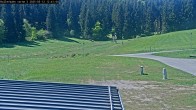 Archiv Foto Webcam Willingen - Blick Rollerbahn der Biathlon Arena 11:00