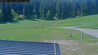 Archived image Webcam Willingen - View Roller Ski in Biathlon Arena 11:00