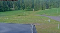 Archived image Webcam Willingen - View Roller Ski in Biathlon Arena 06:00