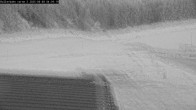 Archived image Webcam Willingen - View Roller Ski in Biathlon Arena 03:00