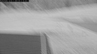 Archiv Foto Webcam Willingen - Blick Rollerbahn der Biathlon Arena 03:00