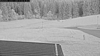 Archiv Foto Webcam Willingen - Blick Rollerbahn der Biathlon Arena 03:00