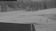 Archiv Foto Webcam Willingen - Blick Rollerbahn der Biathlon Arena 03:00