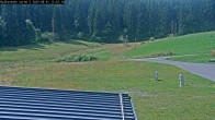 Archiv Foto Webcam Willingen - Blick Rollerbahn der Biathlon Arena 11:00