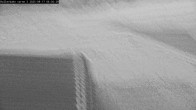Archived image Webcam Willingen - View Roller Ski in Biathlon Arena 05:00