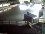Archiv Foto Webcam Willingen: Blick in die Eissporthalle 11:00