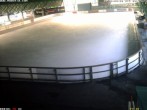 Archiv Foto Webcam Willingen: Blick in die Eissporthalle 05:00