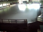 Archiv Foto Webcam Willingen: Blick in die Eissporthalle 11:00