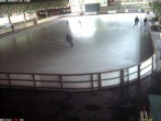 Archiv Foto Webcam Willingen: Blick in die Eissporthalle 13:00