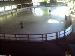 Archived image Willingen - Webcam Ice Arena 17:00