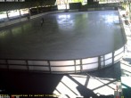 Archiv Foto Webcam Willingen: Blick in die Eissporthalle 15:00