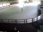 Archiv Foto Webcam Willingen: Blick in die Eissporthalle 07:00