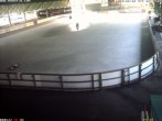 Archiv Foto Webcam Willingen: Blick in die Eissporthalle 07:00
