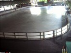 Archiv Foto Webcam Willingen: Blick in die Eissporthalle 17:00