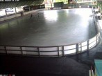 Archiv Foto Webcam Willingen: Blick in die Eissporthalle 13:00
