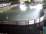 Archived image Willingen - Webcam Ice Arena 15:00
