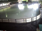 Archived image Willingen - Webcam Ice Arena 17:00
