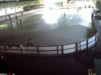 Archiv Foto Webcam Willingen: Blick in die Eissporthalle 09:00