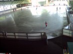 Archiv Foto Webcam Willingen: Blick in die Eissporthalle 09:00