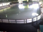 Archiv Foto Webcam Willingen: Blick in die Eissporthalle 17:00